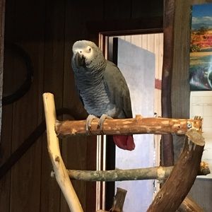 Meet your Posher, Tabetha